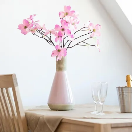 Living Timeless - Ruster Drachennest - Europa Park * Rust