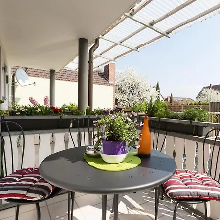 Ruster Drachennest * Rust