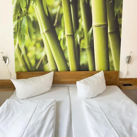 Ruster Drachennest * Rust